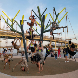 Jungle tree ad Olbia